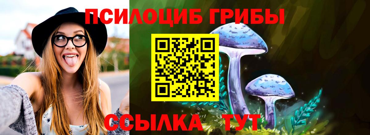 Галлюциногенные грибы Psilocybine cubensis  Галлюциногенные грибы Psilocybine cubensis  Вход с VPN  Всеволожск 