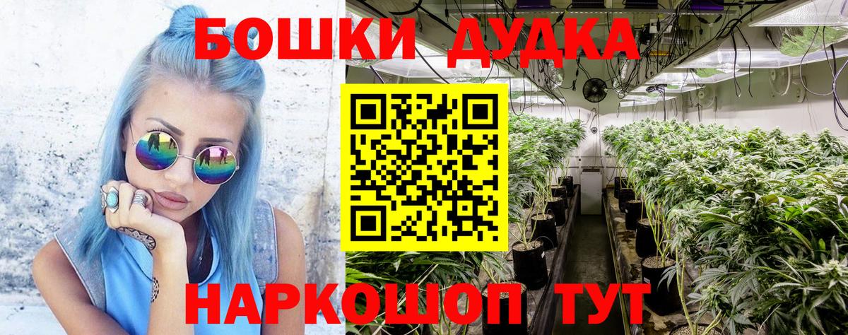 МАРИХУАНА планчик  Шишки марихуана сатива  Всеволожск  Канабис White Widow  Вход с VPN 